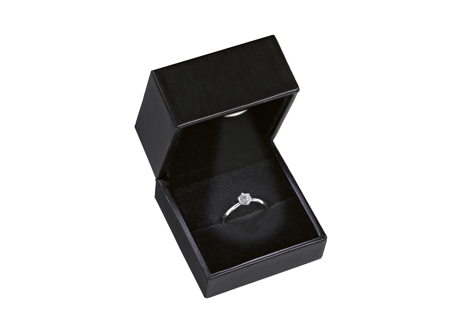 Ringdosen 12er